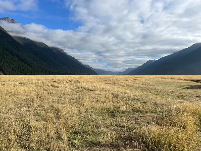 Te Awanga Downs