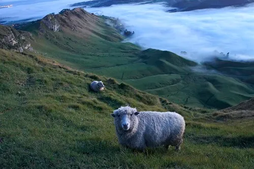 Te Mata Park
