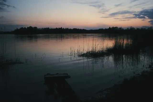 Teiču Nature Reserve