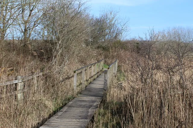 Teifi Marshes Nature Reserve