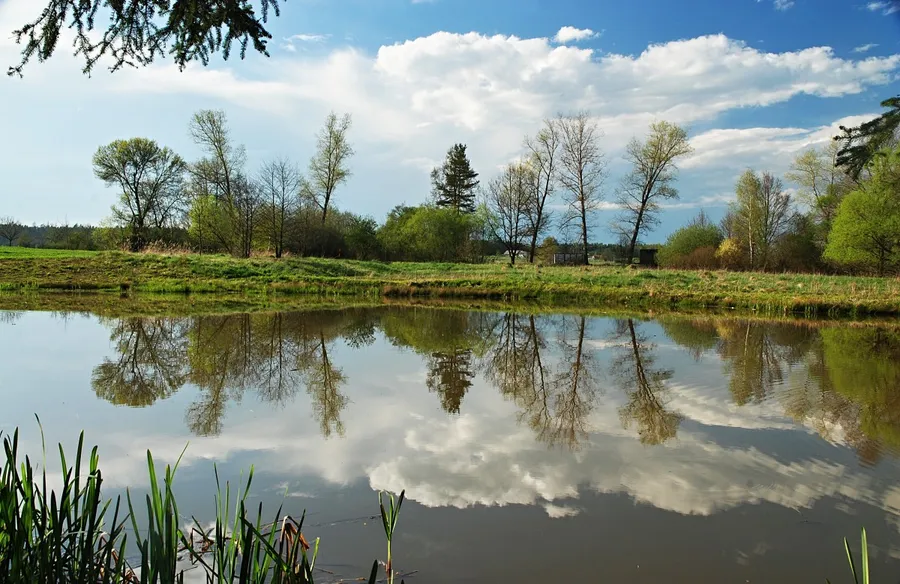 Telč Lake (Štěpnický rybník)