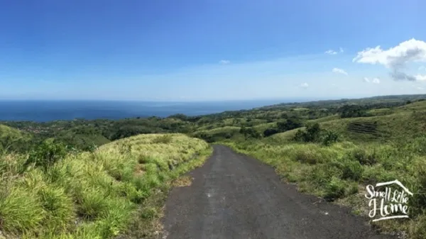 Teletubbies Hill