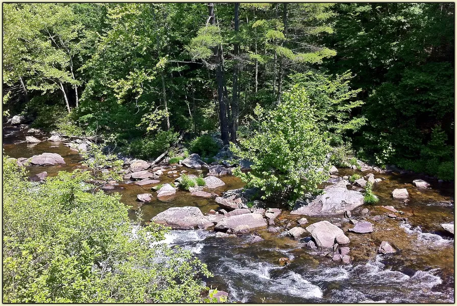 Tellico River