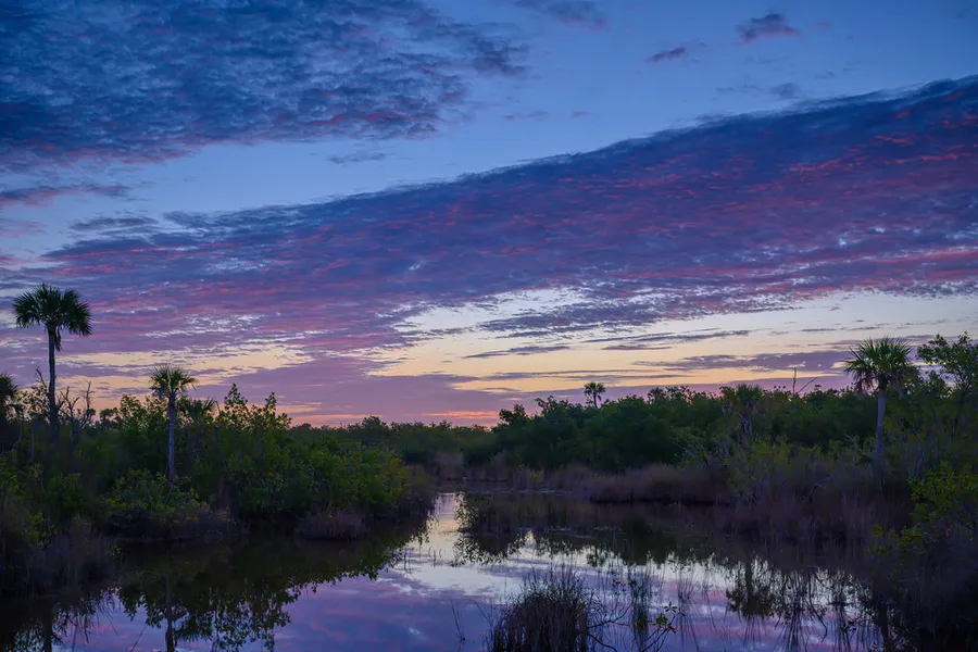 Ten Thousand Islands National Wildlife Refuge
