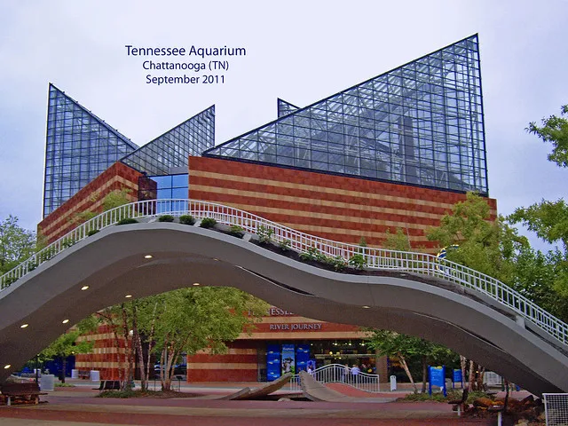 Tennessee Aquarium