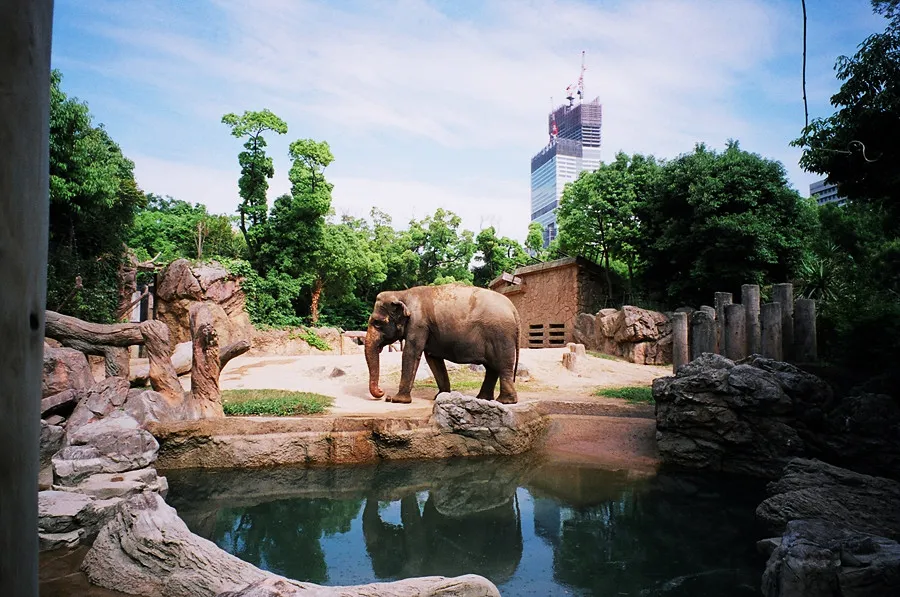Tennoji Zoo