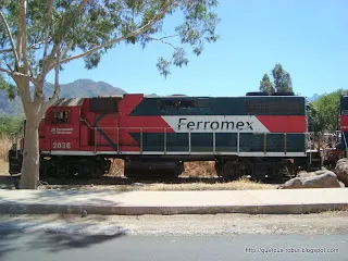 Tequila Herradura Express Train