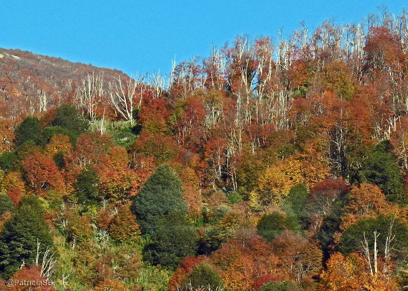 Termales El Otoño