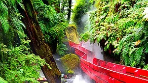 Termas de Coñaripe