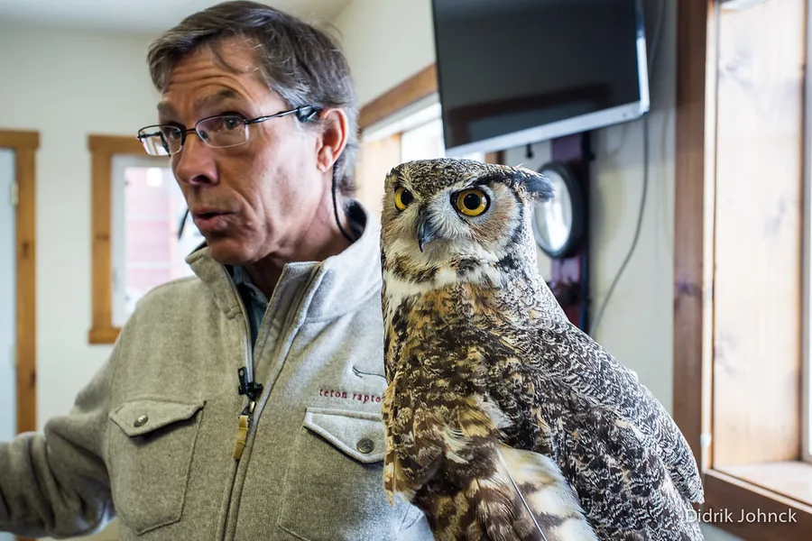 Teton Raptor Center