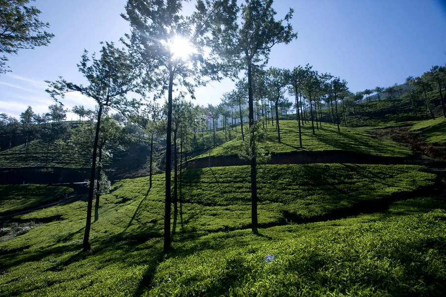 Thangal Para