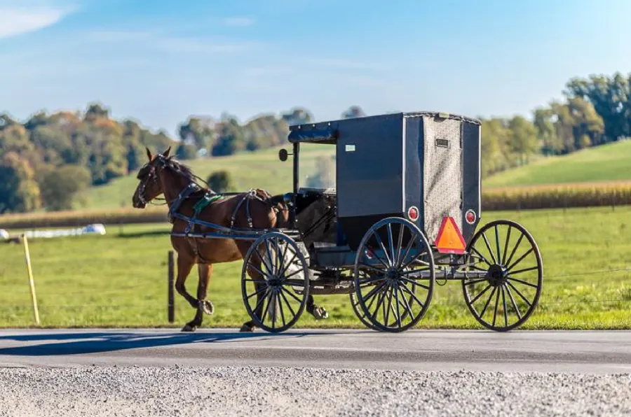 The Amish Experience