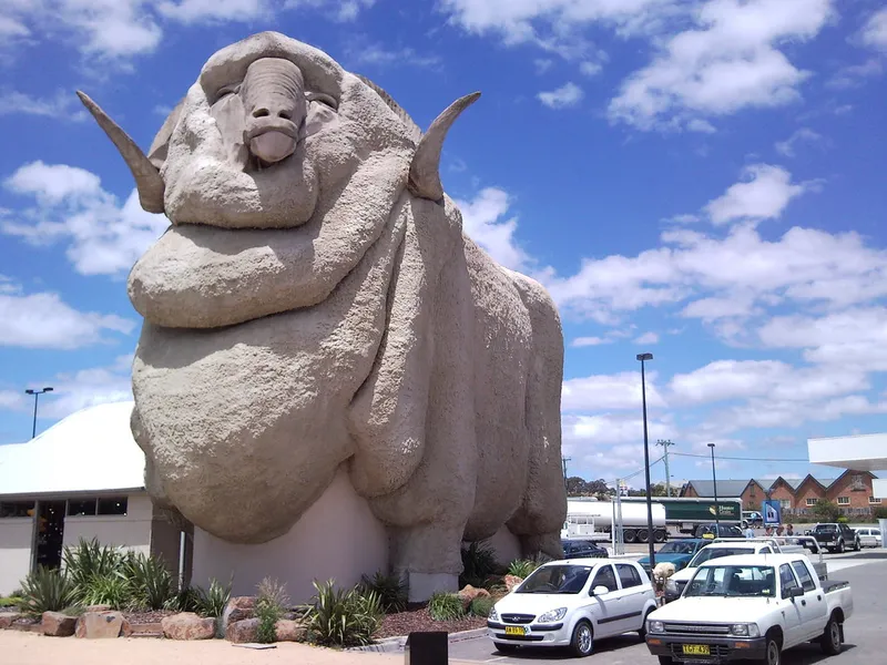 The Big Merino
