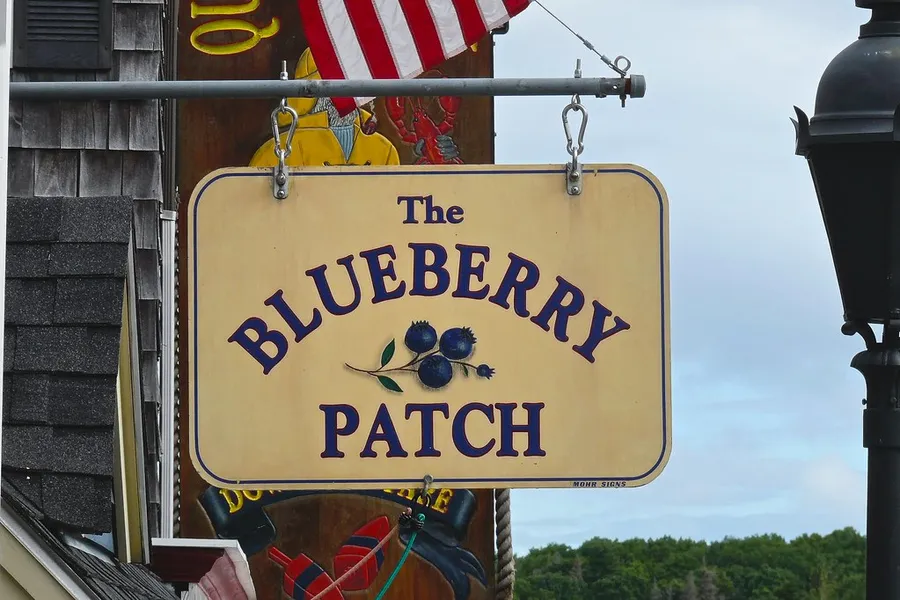 The Blueberry Patch