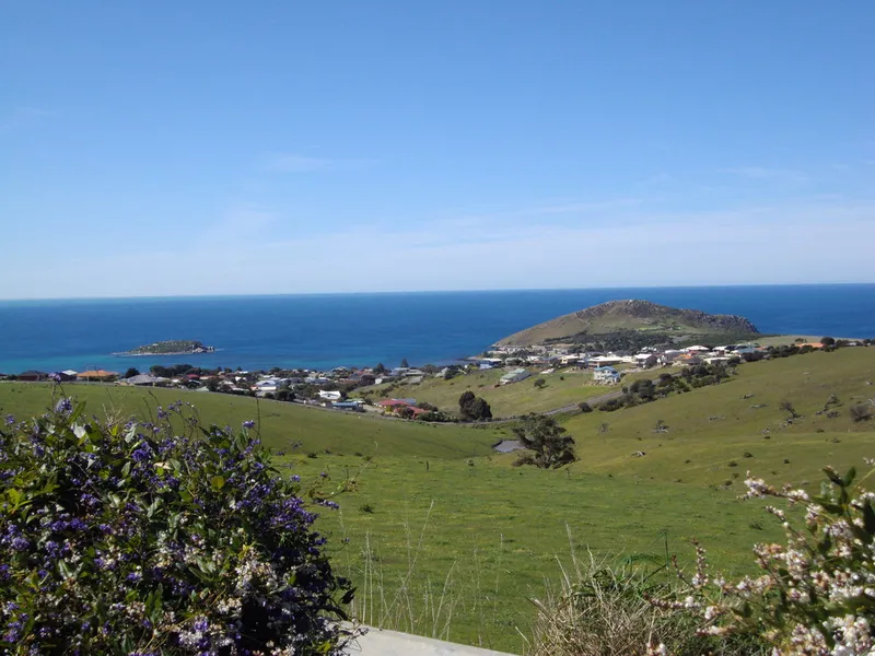 The Bluff (Rosetta Head)