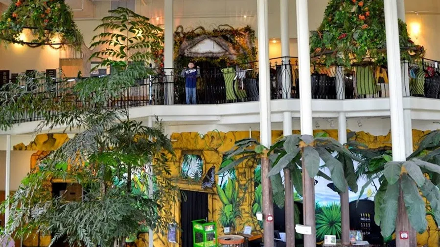 The Butterfly Palace