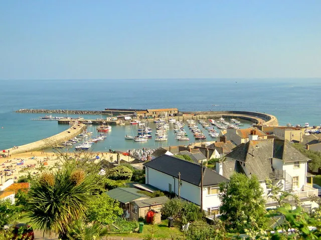 The Cobb