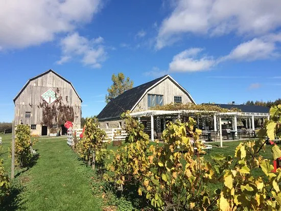 The County Cider Company