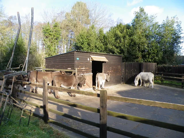 The Donkey Sanctuary