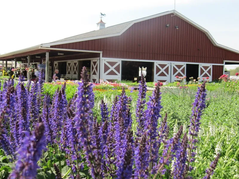 The Farm Store