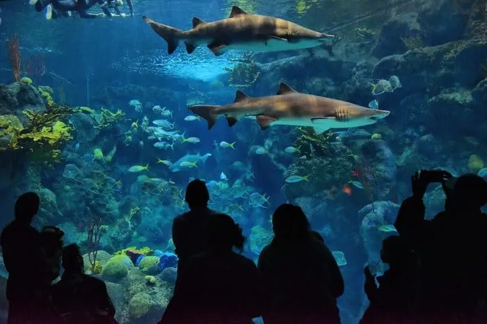 The Florida Aquarium