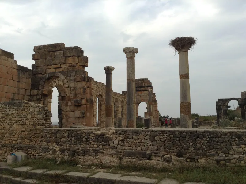 The Forum