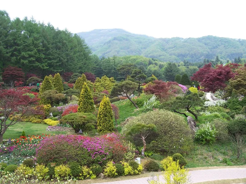 The Garden of Morning Calm