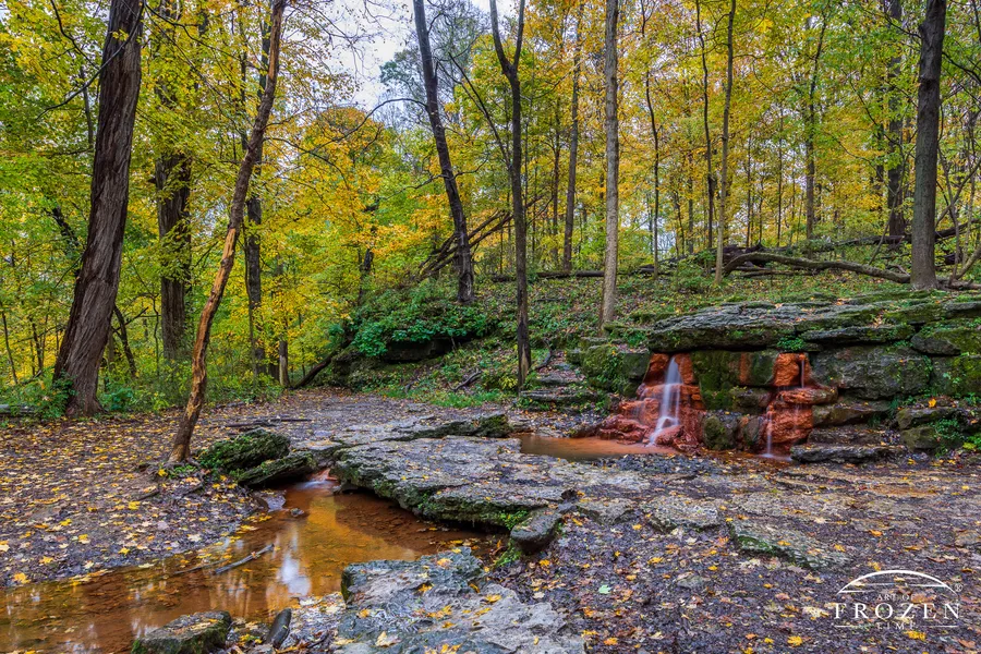 The Glen Helen Outdoor Education Center