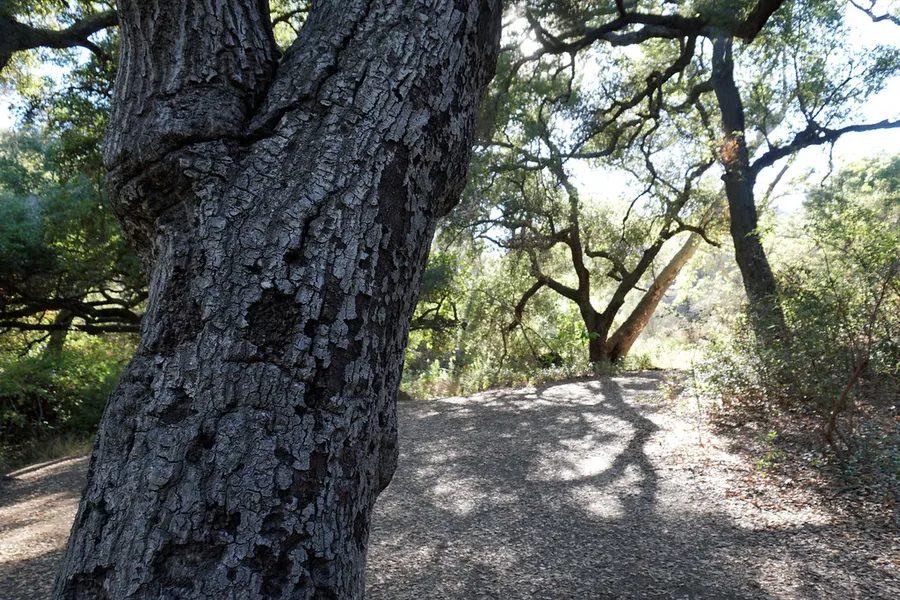 The Grotto Trail