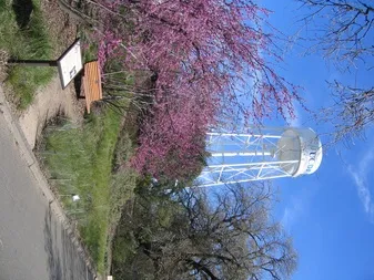 The Grove at Redbud Run