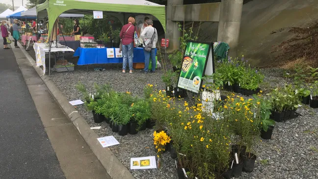 The Hendersonville Farmers Market