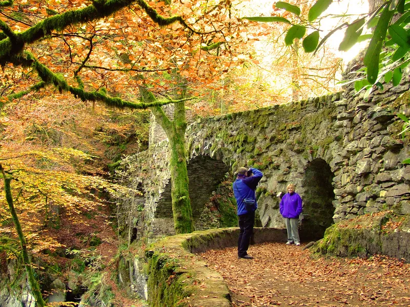 The Hermitage Woodland Walk