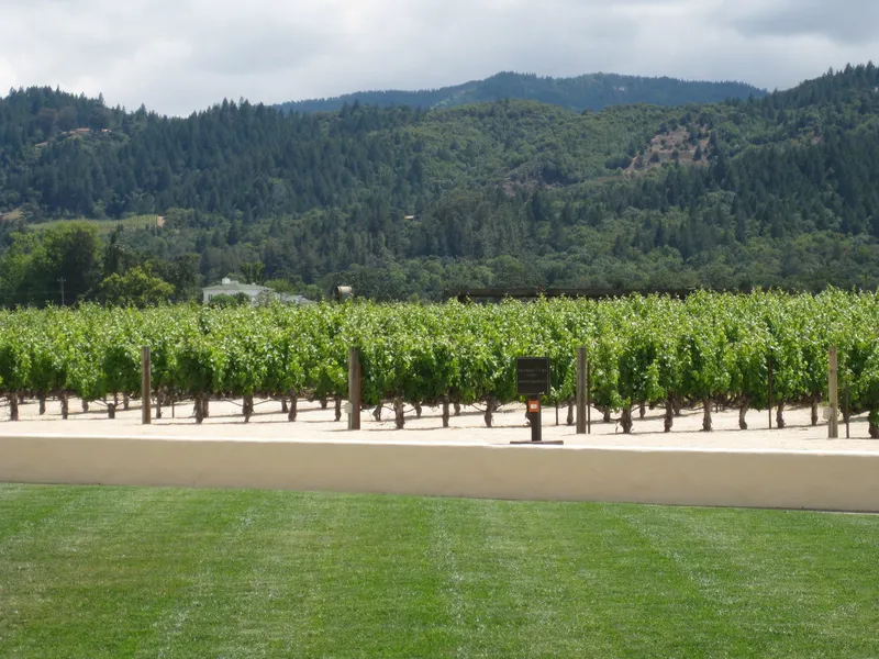 The Hess Collection Winery
