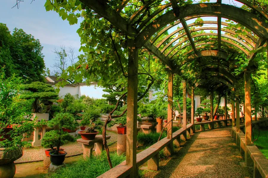 The Lingering Garden