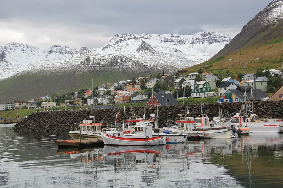 The Marina