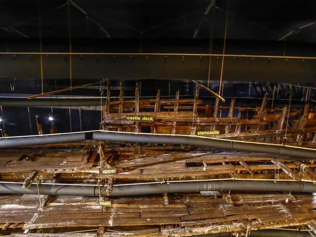 The Mary Rose Museum