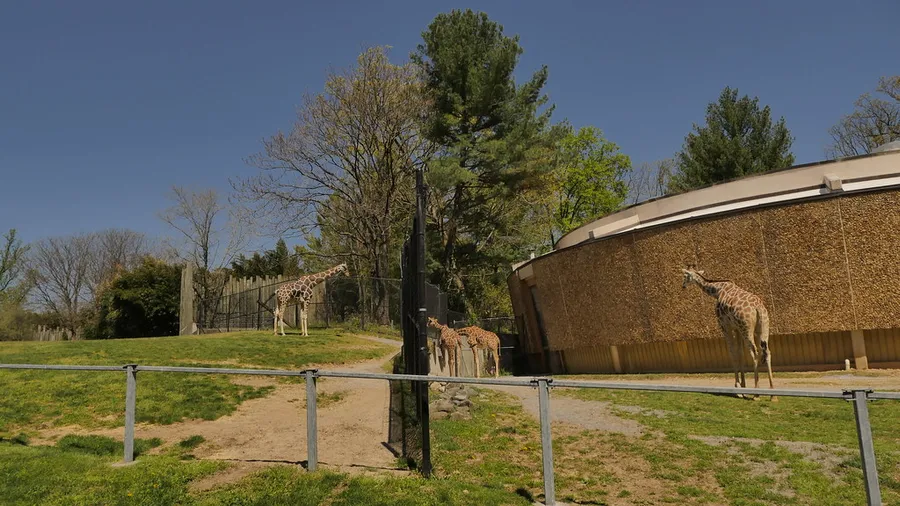 The Maryland Zoo in Baltimore