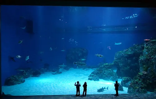 The National Aquarium Denmark
