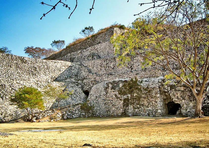 The Observatory