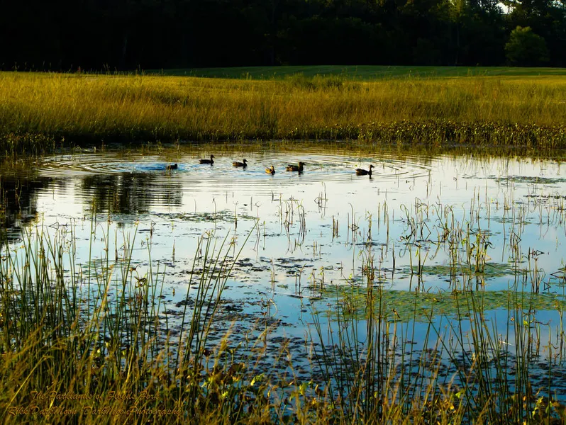 The Parklands of Floyds Fork