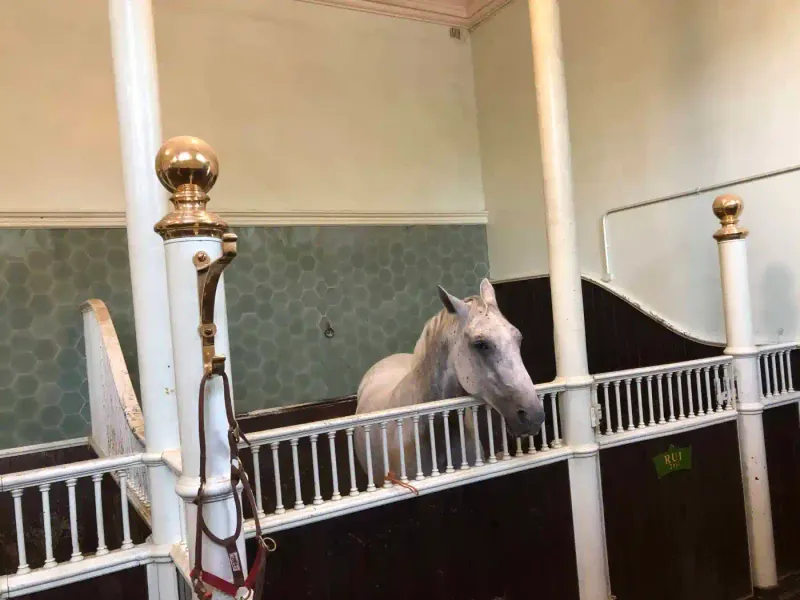 The Royal Mews