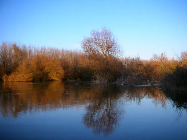 The Stone Bridge of Strymonas River