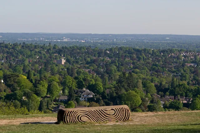 The Surrey Hills Area of Outstanding Natural Beauty