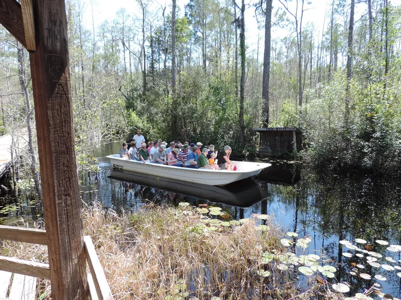 The Swamp Park - Zip Line and ATV Adventure