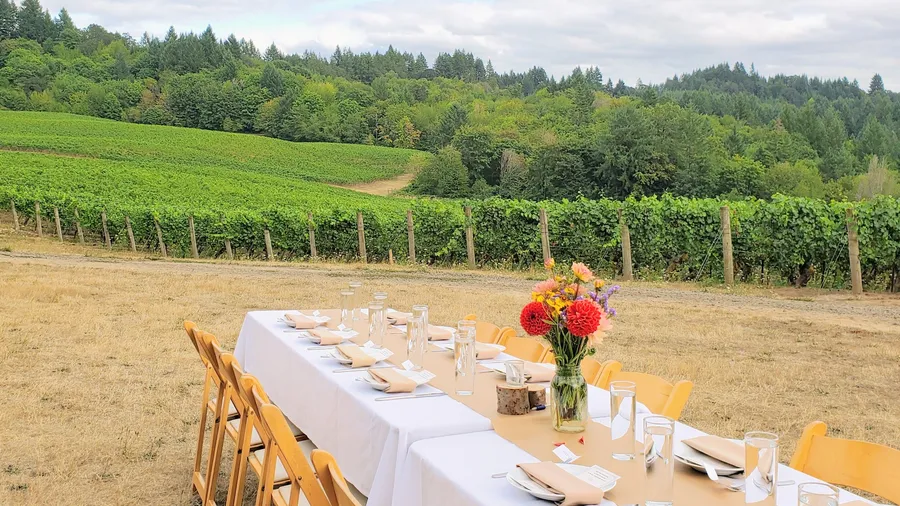 The Table Farmhouse Bakery