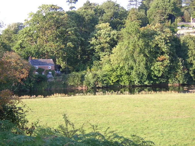 The Warren