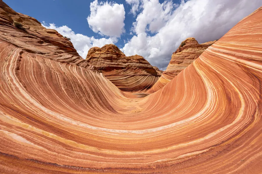 The Wave