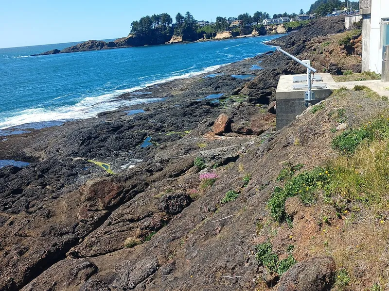 The Whale Watching Center