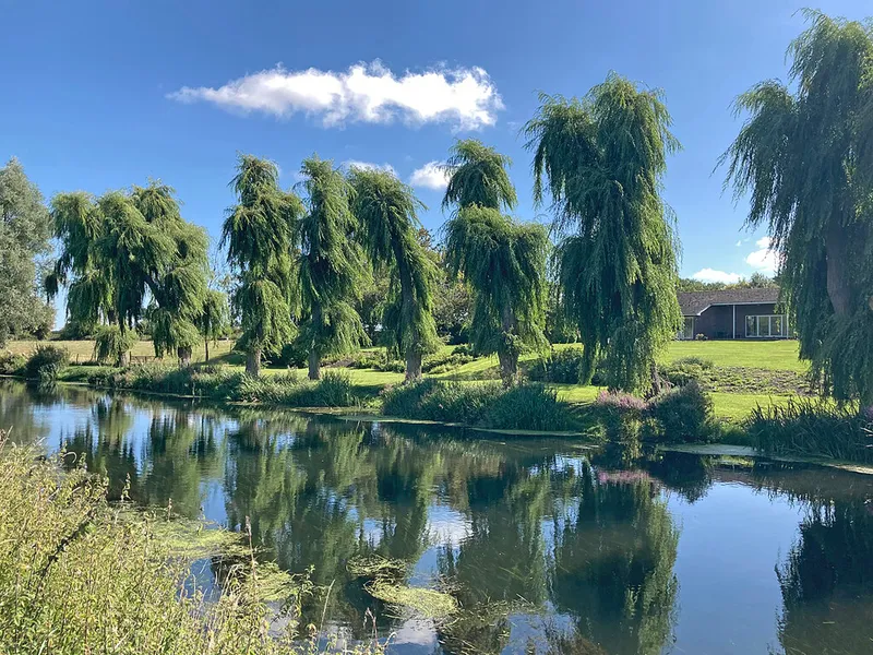The Willows Park