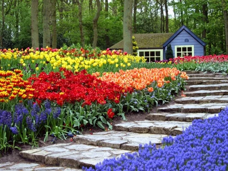 Themed Gardens